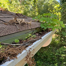 Top-Quality-House-Washing-and-Gutter-Cleaning-Performed-in-Lawrenceville-Ga 2